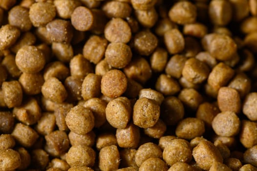 Close-up view of various pet food pellets, highlighting their different shapes, sizes, and earthy tones.
