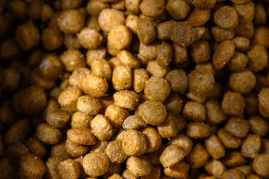 Close-up of small, golden-brown pet food kibble arranged beautifully, showcasing its texture and shine.