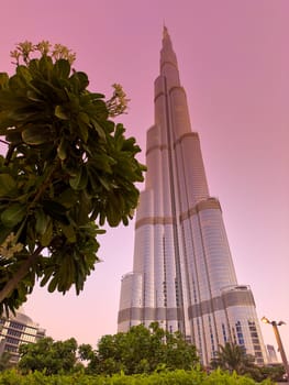 UAE, Dubai, 19 December 2024: The famous Burj Khalifa skyscraper at dusk, Dubai's sights during the incredible sunset sky, skyscrapers illuminated at night, pink sky, palm trees. High quality photo