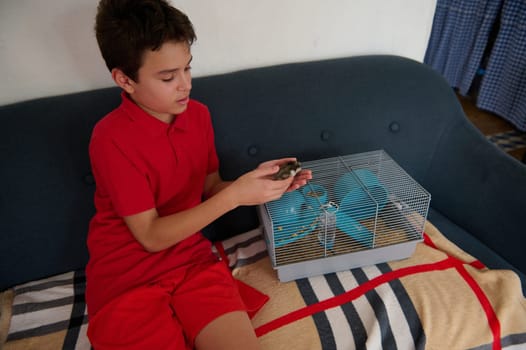 A young boy in a red outfit interacts with his pet hamster on a sofa, showcasing affection and companionship. The cage sits beside him as he carefully holds the small mammal.