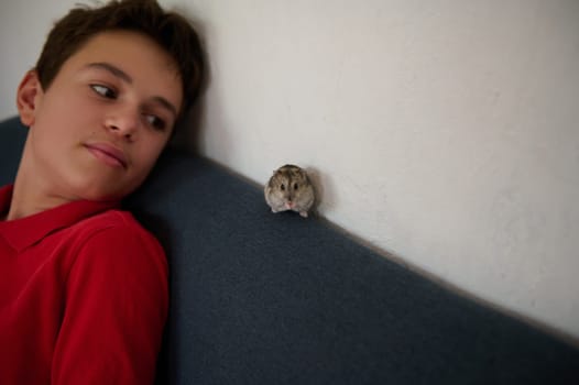 A young boy in a red shirt looks with fascination at a pet hamster on the couch, showcasing a moment of connection between humans and animals.