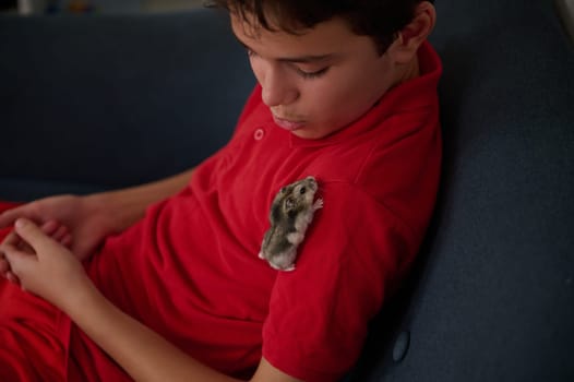 A young boy in a red shirt sitting on a couch with a pet hamster on his shoulder, creating a moment of connection and curiosity.
