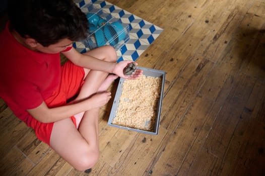Young boy wearing red sitting on the floor, holding a friendly pet hamster near its cage, creating a nurturing and cheerful atmosphere.