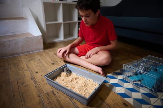 A young boy in red clothing watches a hamster in a small enclosure on the wooden floor. He is sitting cross-legged, engaging with his pet in a cozy indoor environment.