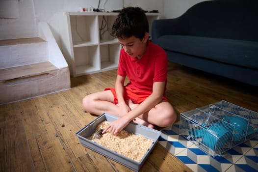 A child in a home environment engages with a small animal in a box near a pet cage.