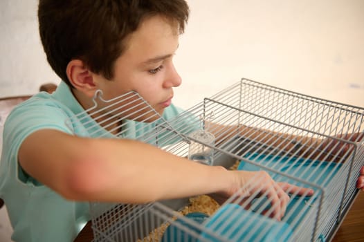 A young boy interacts with and cares for his pet hamster in its cage, showcasing responsibility and affection. The scene reflects the joy and bond between a pet and its owner.