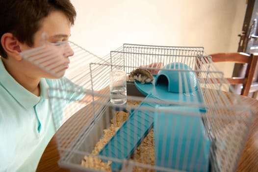 A young boy carefully watches over his pet hamster housed in a cage with blue accessories, symbolizing connection, care, and curiosity toward pet ownership and responsibility.