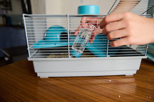 A person adjusts a water bottle inside a cage, likely intended for small rodents or pets. The scene captures pet care and maintenance, emphasizing preparation and cleanliness.