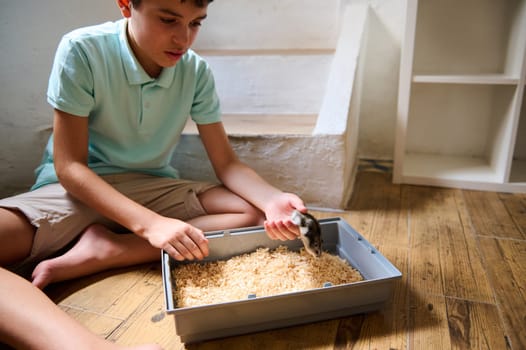 A young boy interacts with a pet rodent in a cozy indoor setting. The wooden floor adds warmth, creating a nurturing environment depicting youth, care, and companionship with animals.