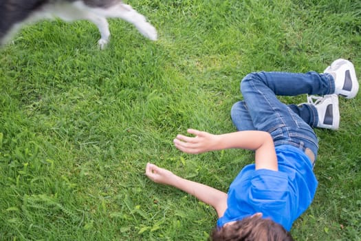 Husky dog happily running and jumping over child lying on bright green meadow, enjoying moments of joint play on a sunny summer day, blurred image,