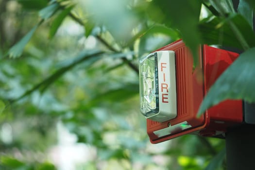 Bright fire alarm is visible among dense green plants, highlighting safety.