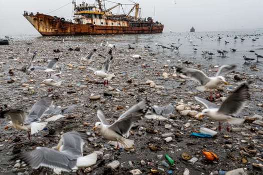 A chaotic scene of seagulls competing for food scraps amid marine debris and pollution, with a rusty fishing vessel in the background illustrating environmental challenges.