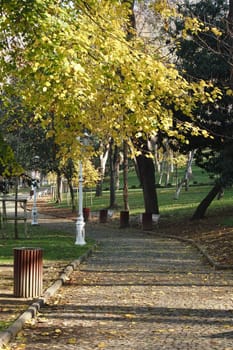 Golden leaves carpet a peaceful cobblestone path in a park.