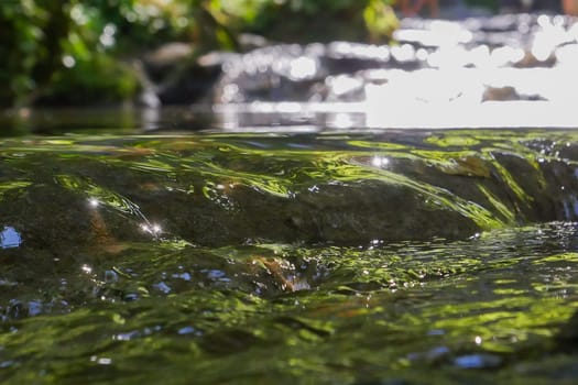 Texture montain river creek stream, High quality photo