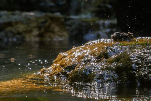 Texture montain river creek stream, High quality photo