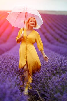 Woman lavender field. A middle-aged woman in a lavender field walks under an umbrella on a rainy day and enjoys aromatherapy. Aromatherapy concept, lavender oil, photo session in lavender.