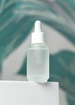 Clear glass dropper bottle with pipette on washbasin in green tropical bathroom close up, mockup. Natural unbranded cosmetics scene, copy space. Spa and facecare concept