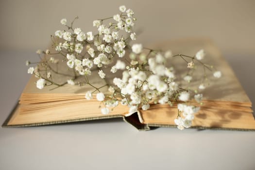 Opened old book with white gypsophila flowers on table close-up. Selective focus. Copy space