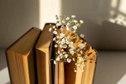 Close up three old books stand next to white gypsophila flowers on a table in sunlight. Top. Selective focus