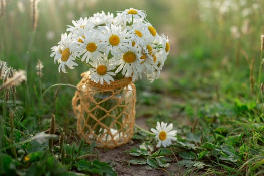 Chamomiles in a jar stand among the grass in nature background.