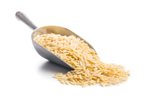 Orzo, kritharaki, risoni pasta. Uncooked dry pasta in scoop isolated on a white background.