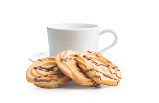 Sweet chocolate cookies isolated on a white background.