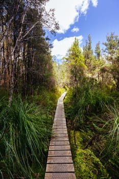 Frenchmans Cap Suspended Bridge in Franklin-Gordon Wild Rivers National Park on a hot summer's day in Tasmania, Australia
