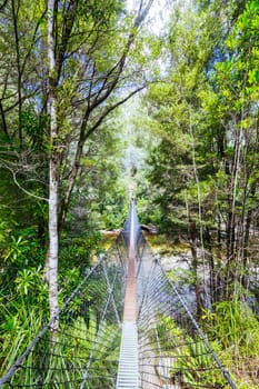 Frenchmans Cap Suspended Bridge in Franklin-Gordon Wild Rivers National Park on a hot summer's day in Tasmania, Australia