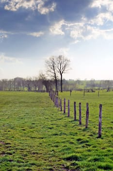 Fence
