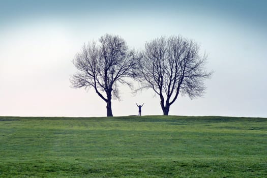 Two trees