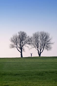 Two trees