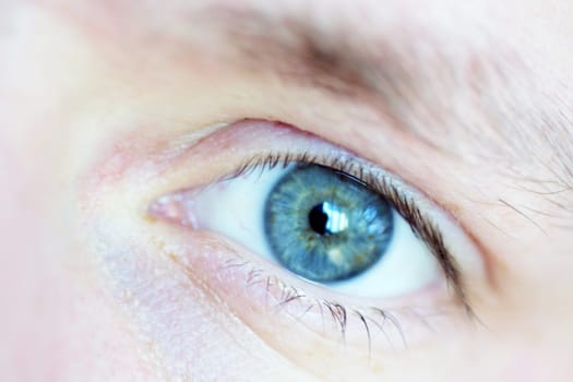 Eye