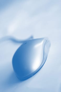 Computer Mouse