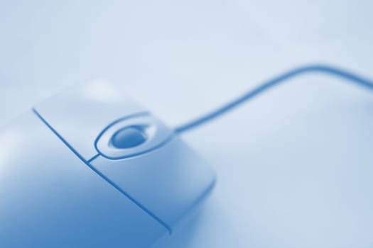 Computer Mouse
