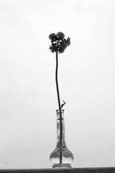 Flower vase