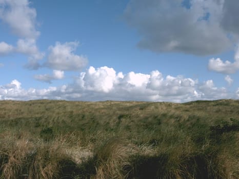 Dunes in Denmark
