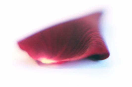Petal