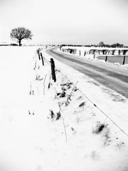 Winter