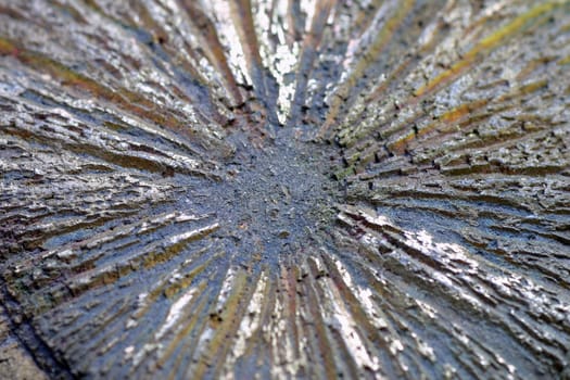 Pattern in the stone