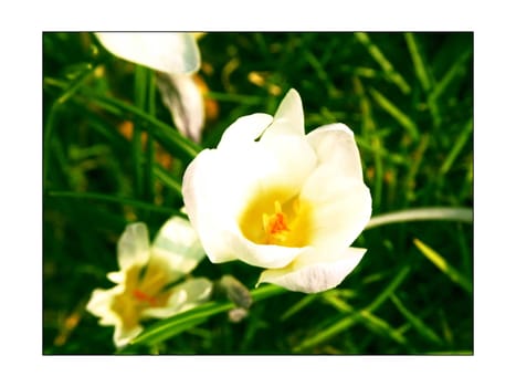 Spring is coming