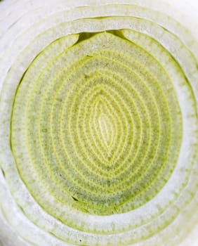 Onion