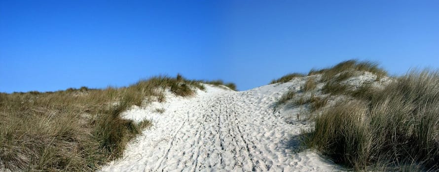 Dune on Baltrum North Sea island