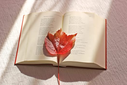 Bookmark