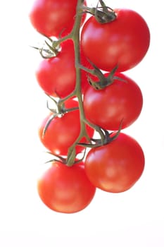Cocktail tomatoes