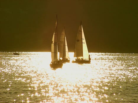 Sailboats