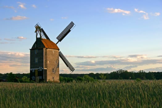 Brandenburgische Mühle 2