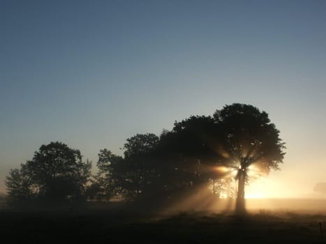 This photo was taken in September 2004 shortly after sunrise on a meadow in Schleswig-Holstein. Recorded with a Minolta D7i.