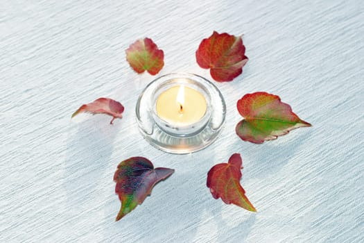Autumn Star