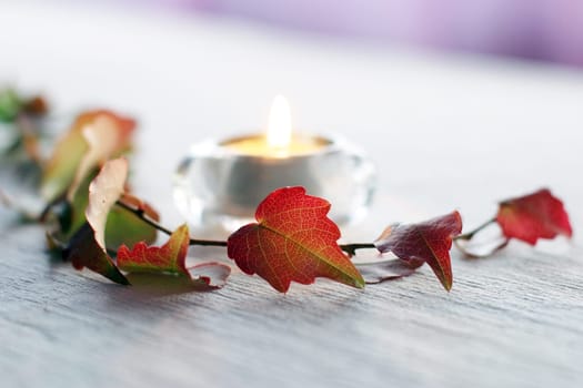 Autumn