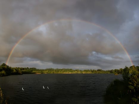Due to the lack of enough wide angle on the fixed lens of my D7i to show the whole rainbow,this is a montage of 4 handheld photos shot on top of each other and next to each other. I added the swans later.
